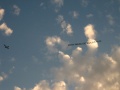 April 30, 2005