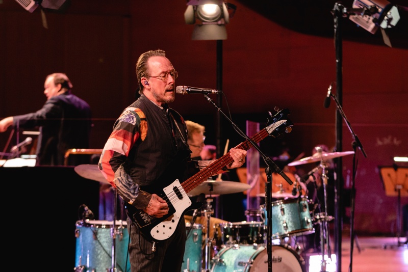 File:OK Human live 5.jpg